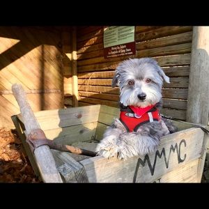 Meet your Posher, Raymond